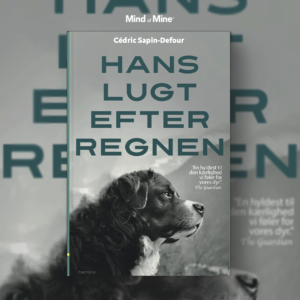 Hans lugt efter regnen af Cédric Sapin-Defour
