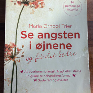 "Se angsten i øjnene - og få det bedre" af Maria Ørnbøl Trier